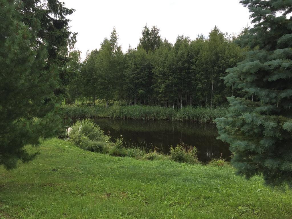 Paju Holiday Home Отепяе Екстер'єр фото